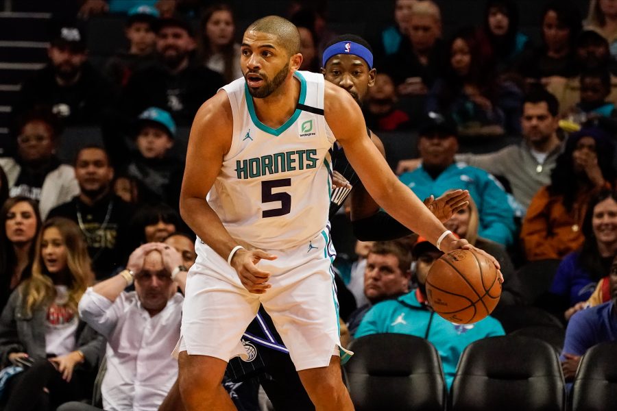 [外絮] 黃蜂相關